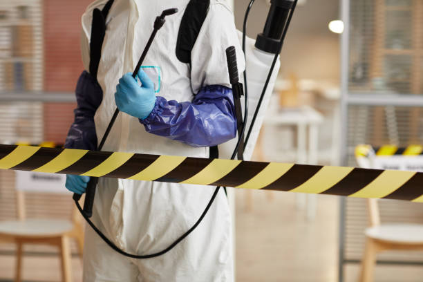 Professional Hoarding Cleanup technician working in Cleveland, TX